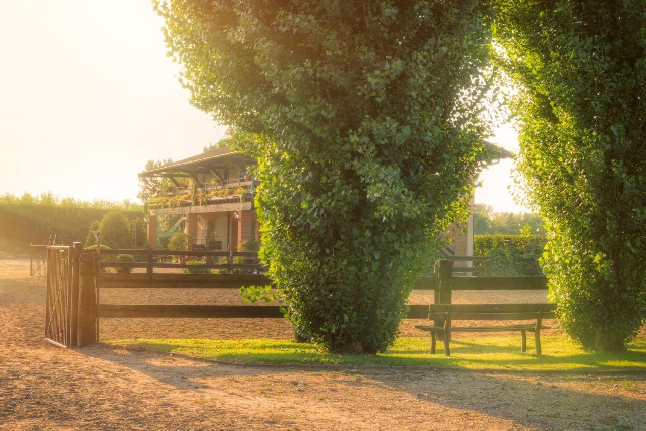Agriturismo Maiocchi Villa Borgarello Kültér fotó